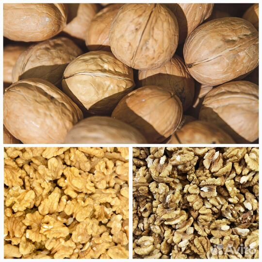 Орех грецкий