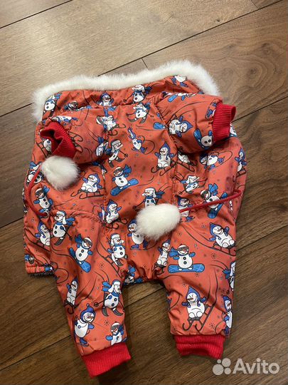 Комбинезон на маленькую собаку