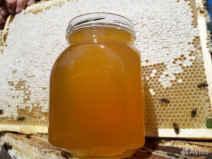Свежий мед оптом майский