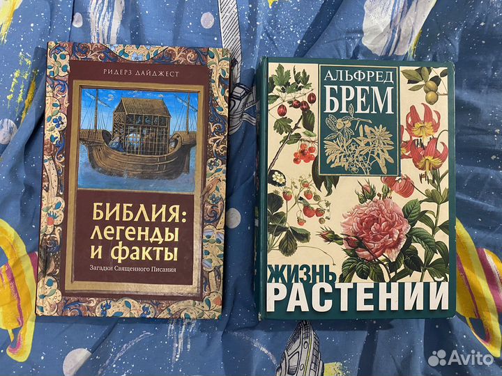 Художественная литература. Религия. Классика