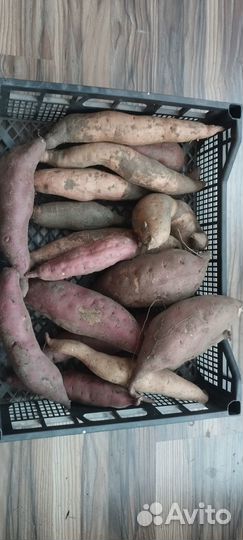 Батат,сладкая картошка