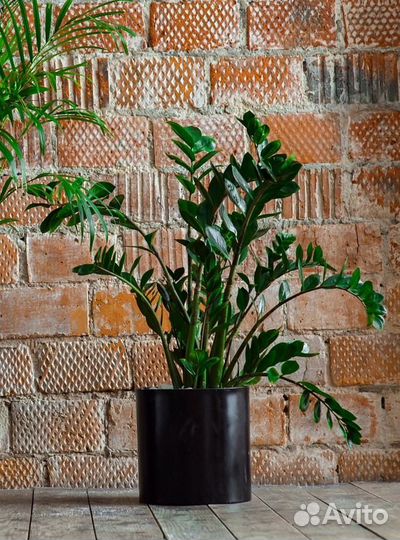 Производство кашпо из стеклопластика. Любые формы