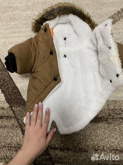 Комбинезон для небольшой собаки 28