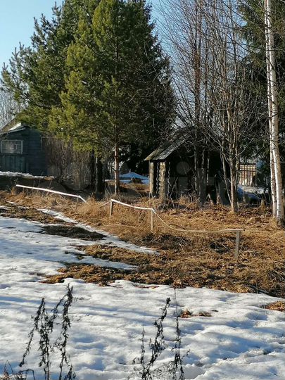 Дом 22,6 м² на участке 15 сот.