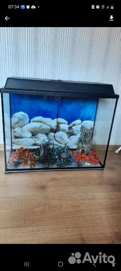 Аквариум