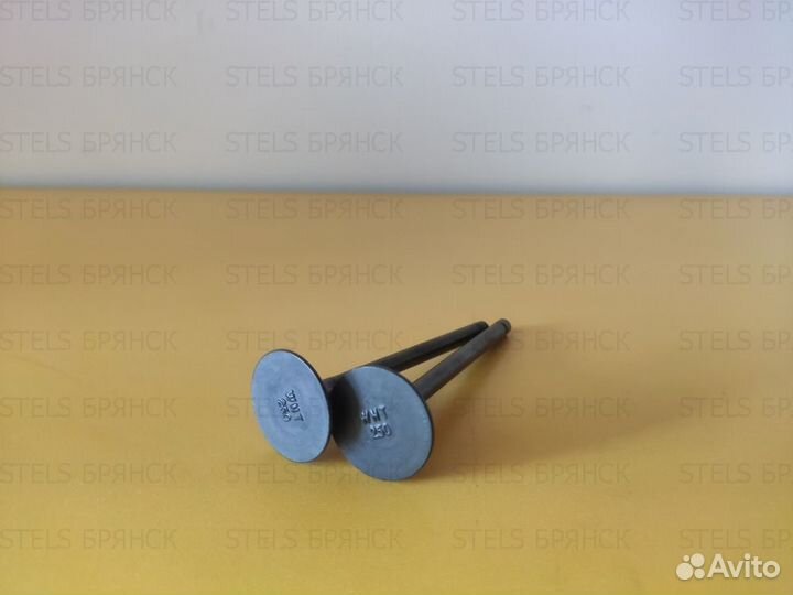 Клапан впускной-тарелка Stels ATV300b 2.1.01.0440