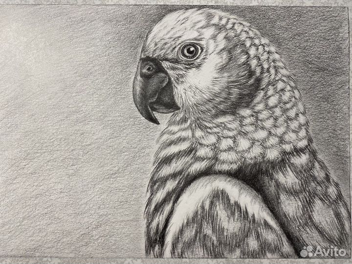 Рисунок карандашом А4