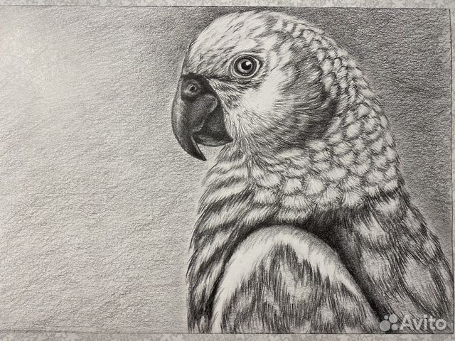 Рисунок карандашом А4