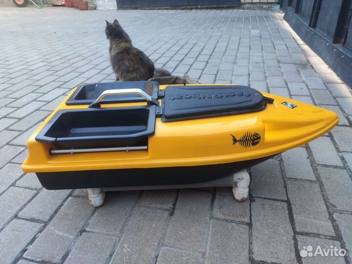 Карповый караблик