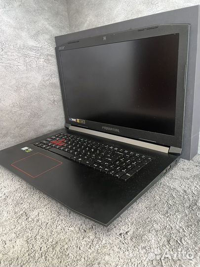 Acer predator