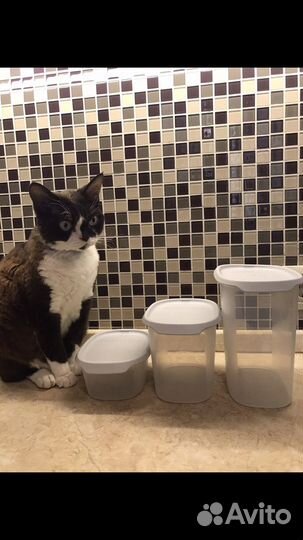 Контейнер Tupperware набор в одно касание Тапервер