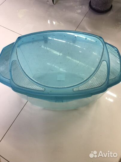 Контейнер для улиток рыбок палочников