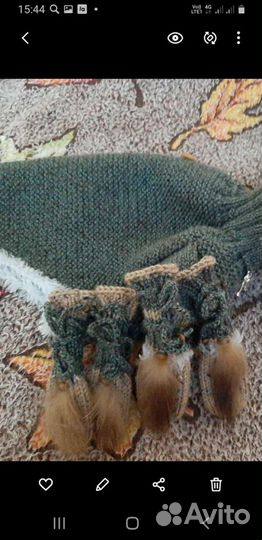 Одежда для собак