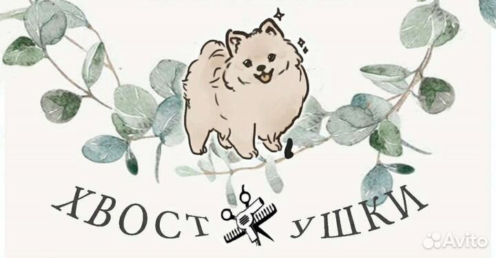 Груминг (стрижка собак)