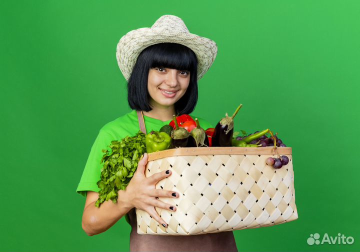 Работа пешим курьером. Еженедельная оплата