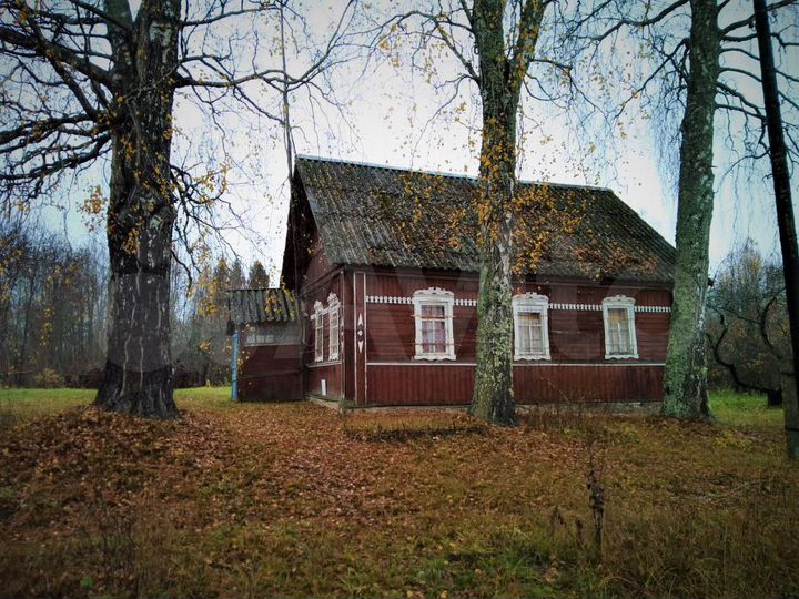 Дом 50 м² на участке 51 сот.