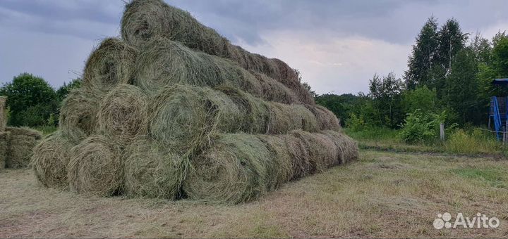 Сено в рулонах