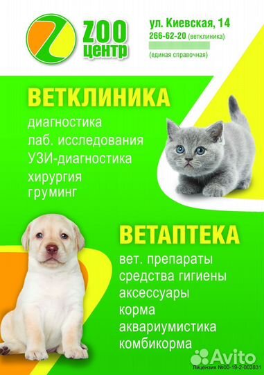 Ветеринарная клиника