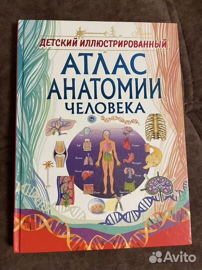 Детский Атлас анатомии человека новый