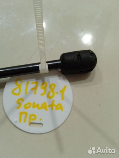 Амортизатор капота(правый) (Hyundai Sonata)