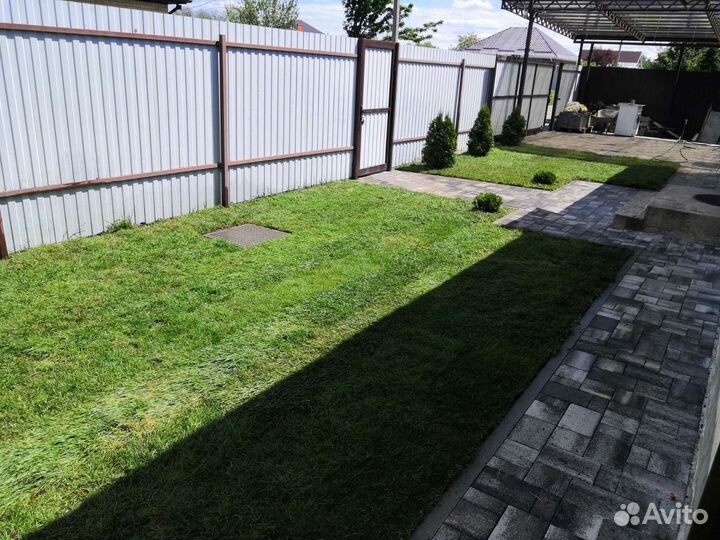 Газон рулонный