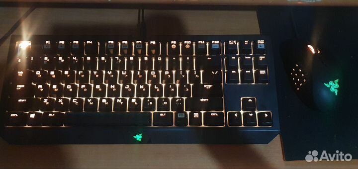 Razer Blackwidow tournament edition chroma