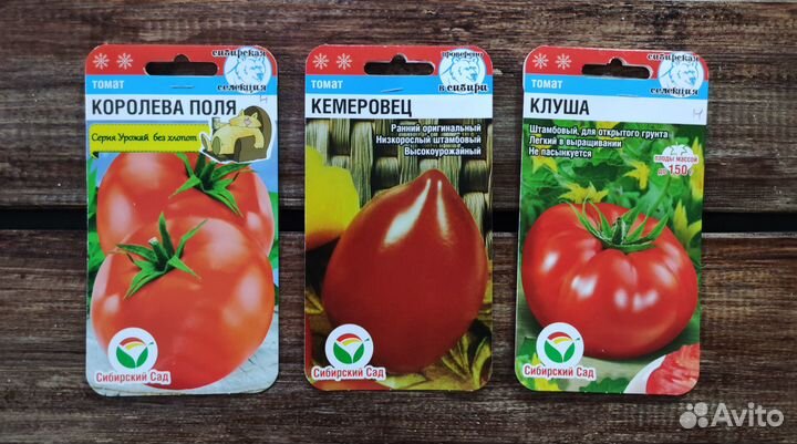Семена Томатов №8