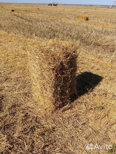 Солома в тюках с доставкой