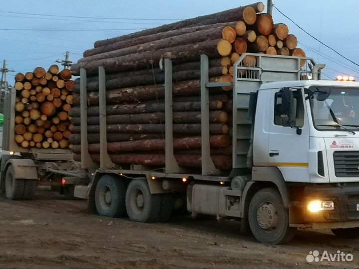 МАЗ 6312С9-526-012, 2018