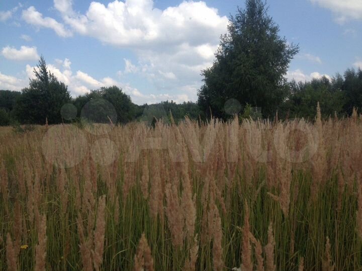 Участок 16 сот. (СНТ, ДНП)