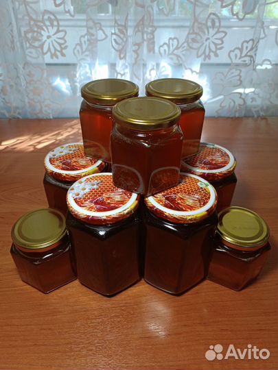 Мед горный натуральный сбор 2023 г