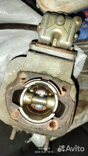 Группа муравей