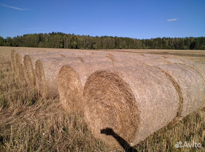 Сеновязальная сетка Тянь Жень