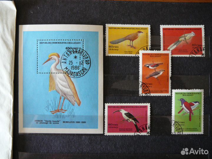 Фауна. Марки времен СССР