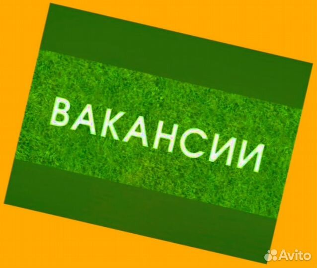 Сборщик авто вахта Выплаты еженедельно Жилье/Еда +