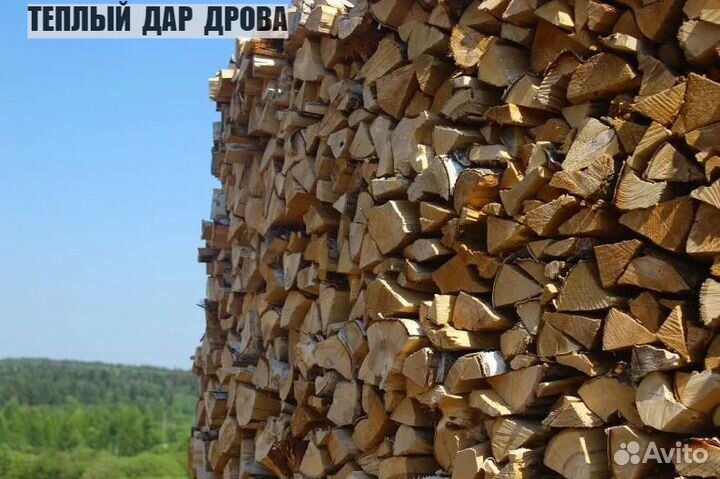 Дрова
