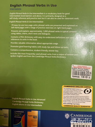 English Phrasal Verbs in Use