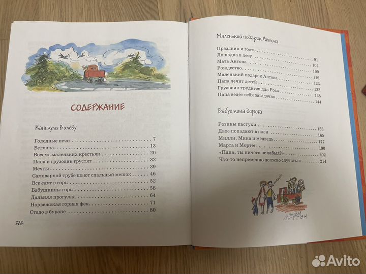 Папа, мама, бабушка, восемь детей и грузовик