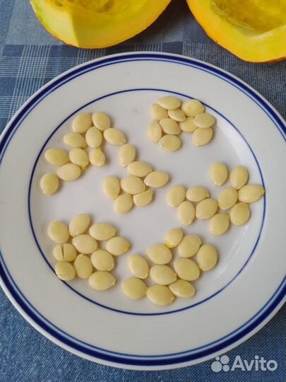 Семена тыква чалмовидная декоративная