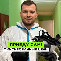 Обработка от клещей комаров муравьев Дезинфекция, Апрелевка