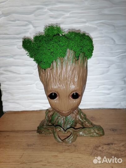 Продам кашпо Грут с мхом Ягель