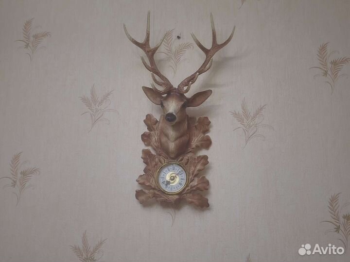 Продам рога оленя