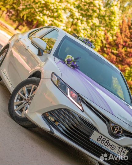 Стильные украшения на свадебные авто, кортежи