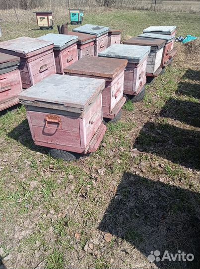 Улья Дадан 12 рамок. Стандартные. Б/У