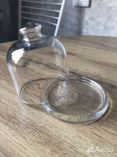 Лимонница стеклянная