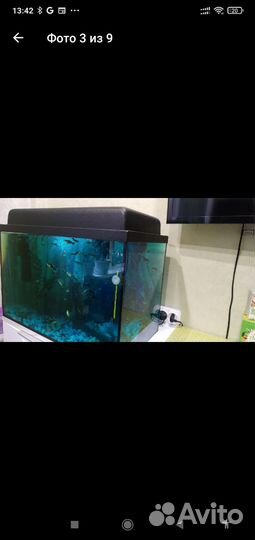 Аквариум