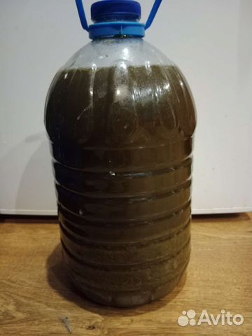 Экстракт конского навоза