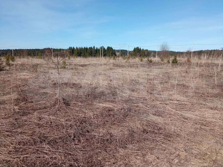 Участок 10 сот. (СНТ, ДНП)