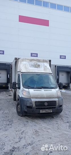 Доставка WB ozon