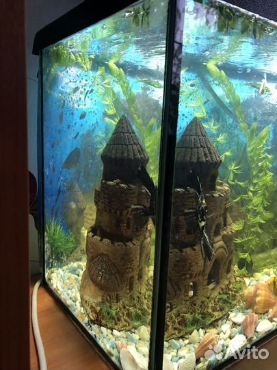 Аквариум